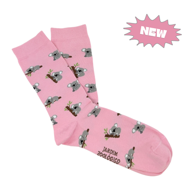Koalas