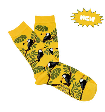 Tucano Amarelo
