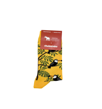 CHULÉZINHO - TUCANO