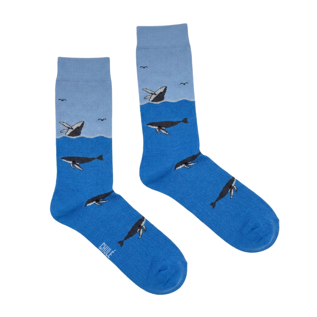 ballenas