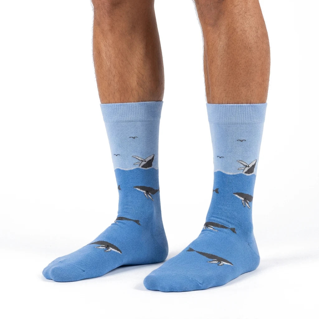 ballenas