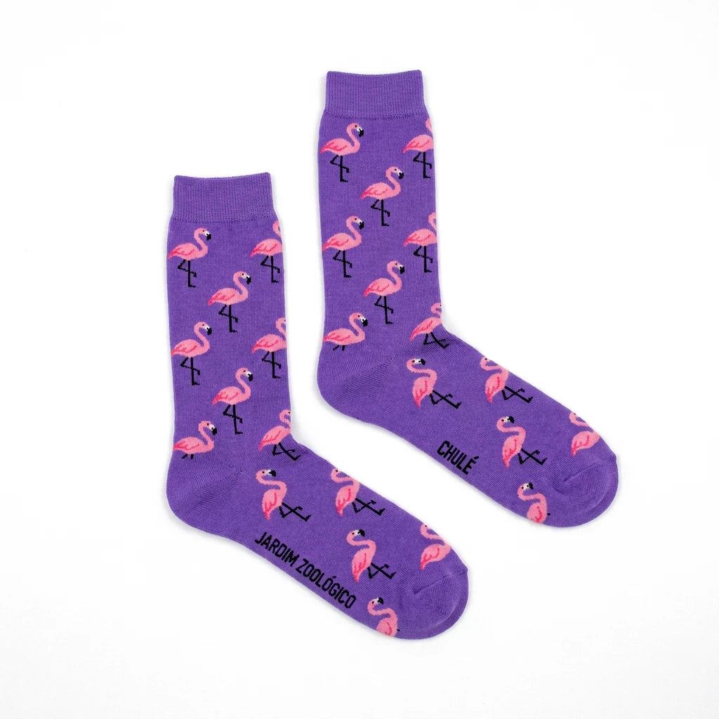 CHULÉZINHO - Flamingos