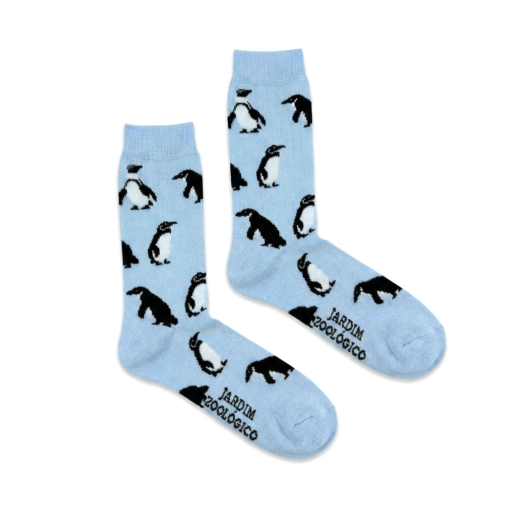 CHULÉZINHO - Pinguins