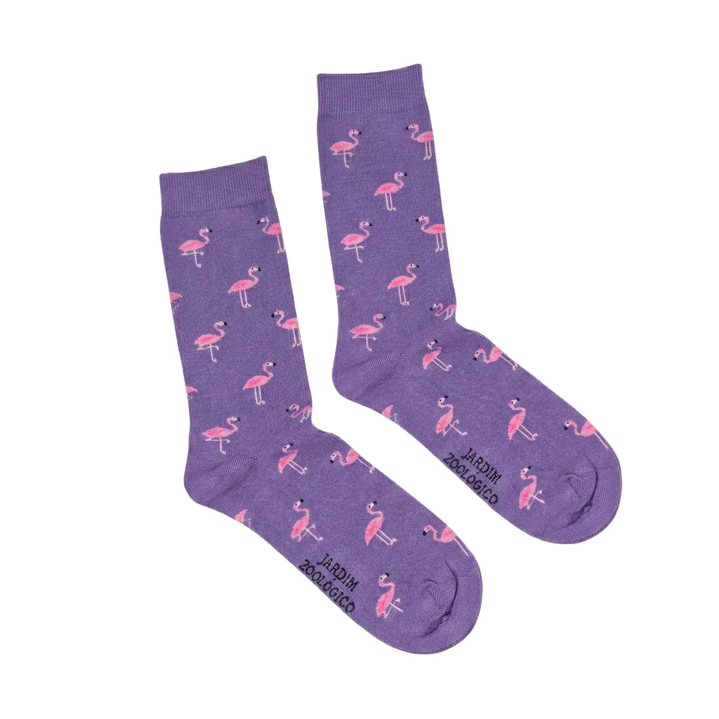 Flamingos