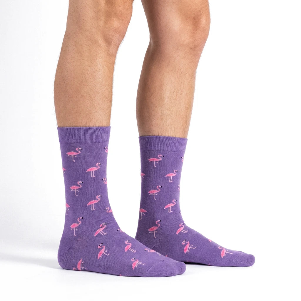 Flamingos