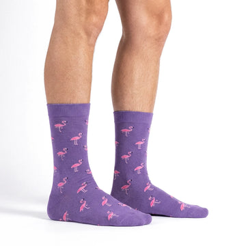 Flamingos