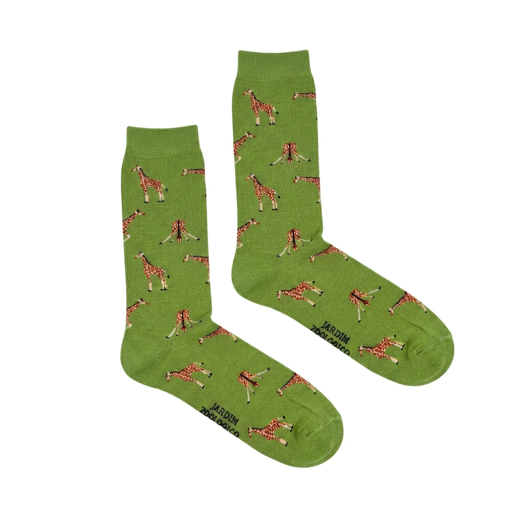 Girafas