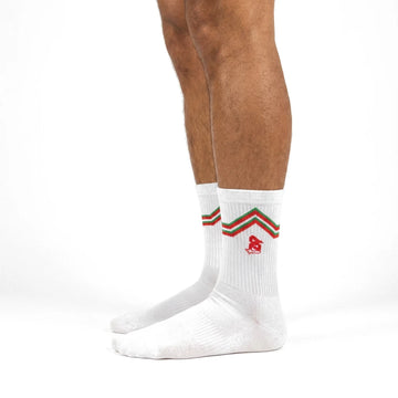 TAP 1979 WHITE