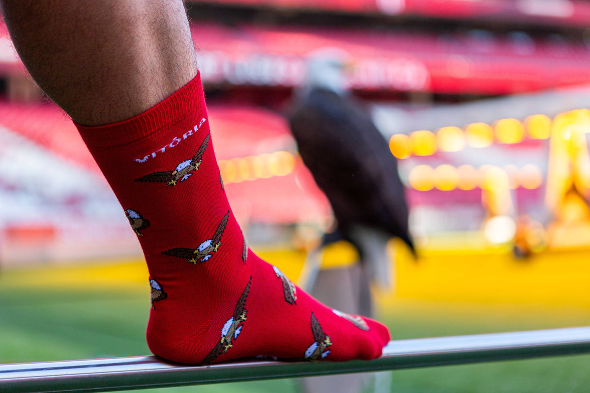 Meias Sport Lisboa Benfica Águia Vitória licenciada oficial
