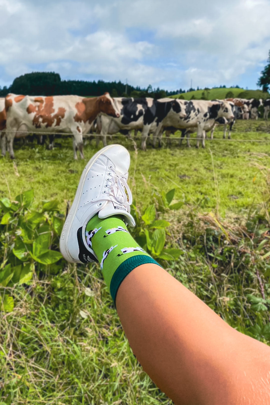 Meias vacas CHULÉ - Design Portugal sustentável